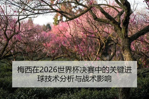梅西在2026世界杯决赛中的关键进球技术分析与战术影响